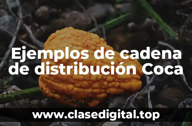 Ejemplos de cadena de distribución Coca