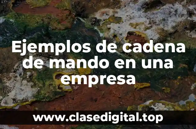 Ejemplos de cadena de mando en una empresa