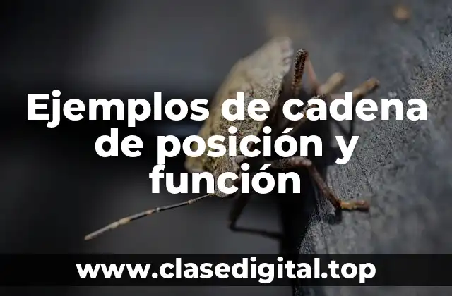 Ejemplos de cadena de posición y función