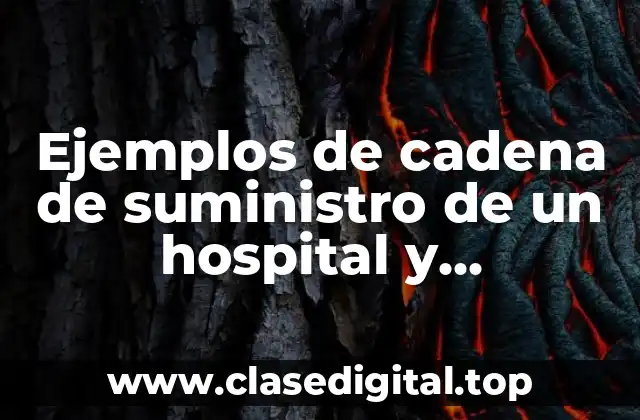 Ejemplos de cadena de suministro de un hospital y Significado