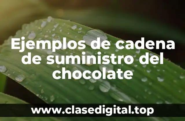 Ejemplos de cadena de suministro del chocolate