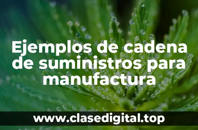Ejemplos de cadena de suministros para manufactura