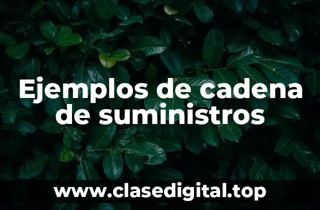 Ejemplos de cadena de suministros