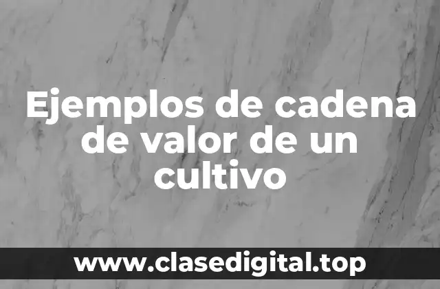 Ejemplos de cadena de valor de un cultivo