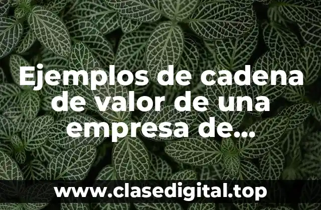 Ejemplos de cadena de valor de una empresa de hortalizas y Significado