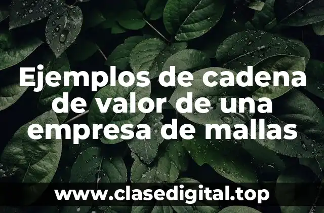Ejemplos de cadena de valor de una empresa de mallas