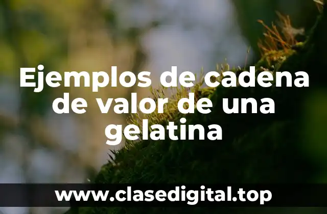 Ejemplos de cadena de valor de una gelatina