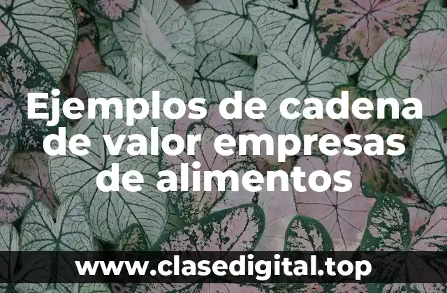Ejemplos de cadena de valor empresas de alimentos