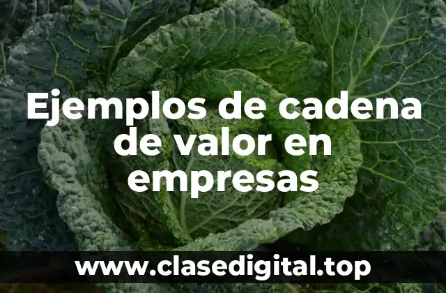 Ejemplos de cadena de valor en empresas