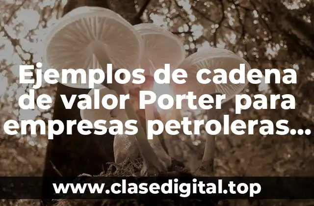 Ejemplos de cadena de valor Porter para empresas petroleras y Significado