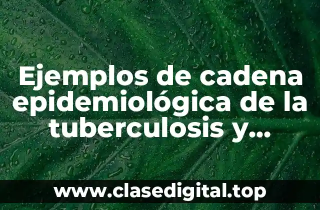 Ejemplos de cadena epidemiológica de la tuberculosis y Significado