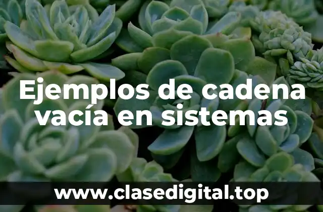 Ejemplos de cadena vacía en sistemas