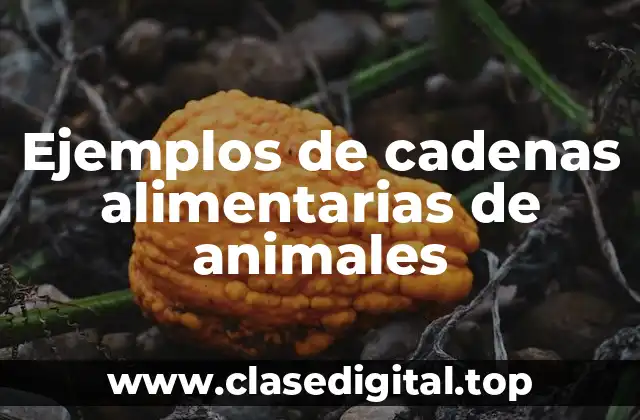 Ejemplos de cadenas alimentarias de animales