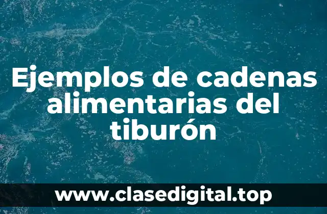 Ejemplos de cadenas alimentarias del tiburón