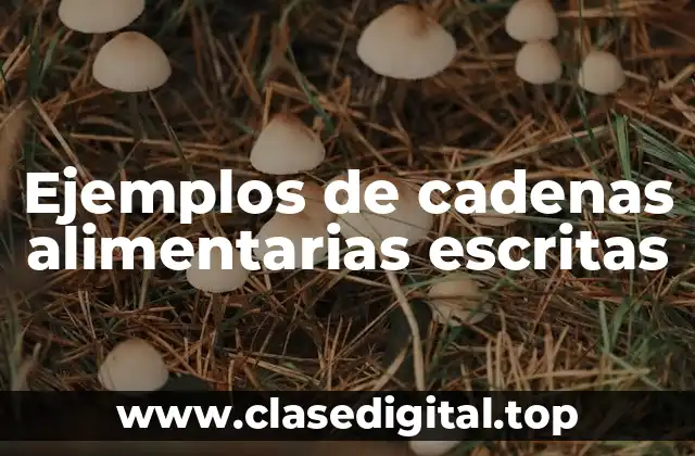 Ejemplos de cadenas alimentarias escritas