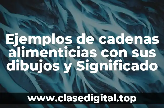 Ejemplos de cadenas alimenticias con sus dibujos y Significado