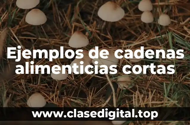 Ejemplos de cadenas alimenticias cortas
