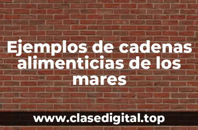 Ejemplos de cadenas alimenticias de los mares