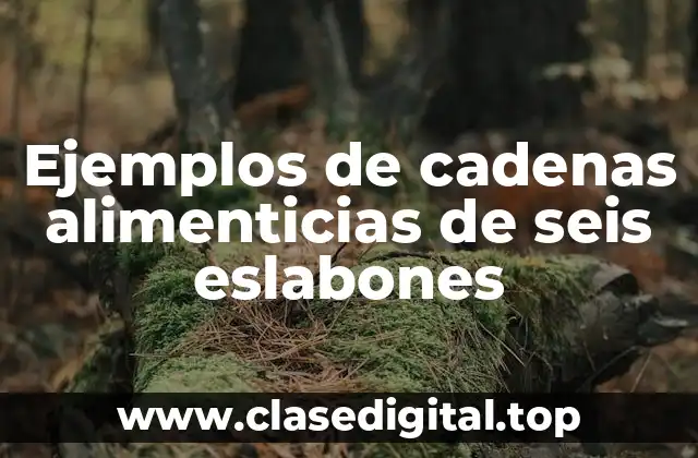 Ejemplos de cadenas alimenticias de seis eslabones