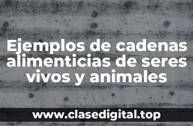 Ejemplos de cadenas alimenticias de seres vivos y animales