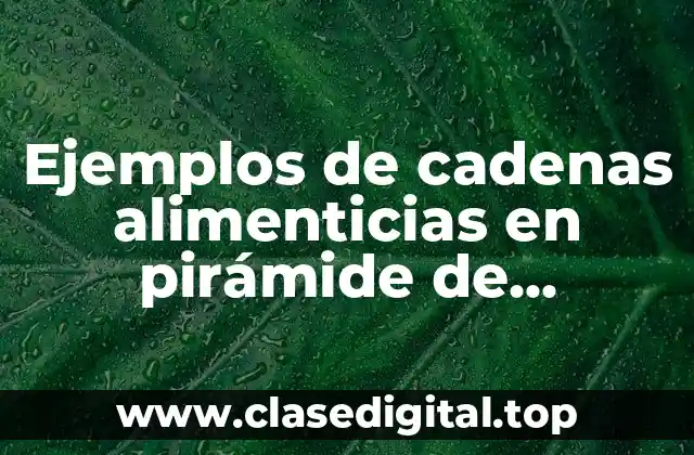 Ejemplos de cadenas alimenticias en pirámide de animales