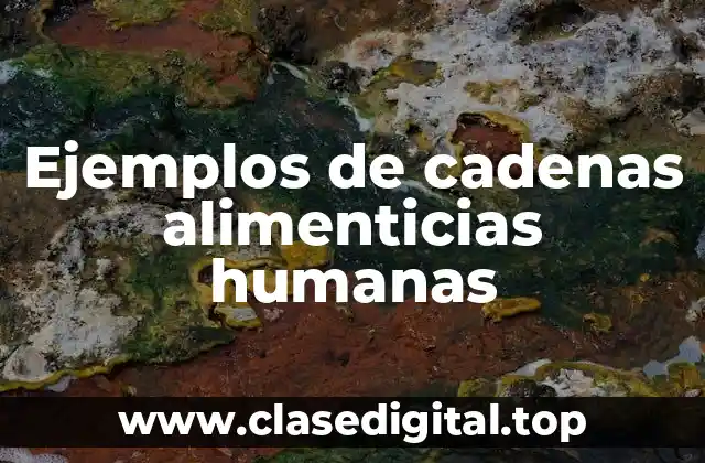 Ejemplos de cadenas alimenticias humanas