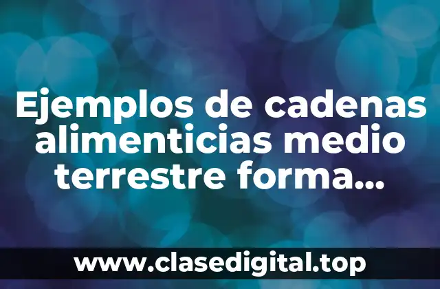 Ejemplos de cadenas alimenticias medio terrestre forma piramidal
