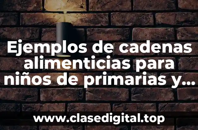 Ejemplos de cadenas alimenticias para niños de primarias y Significado