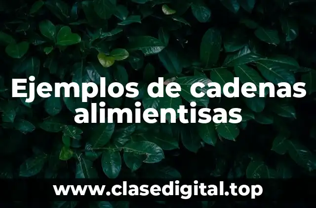 Ejemplos de cadenas alimientisas