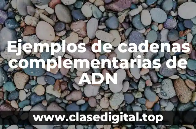 Ejemplos de cadenas complementarias de ADN