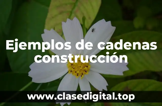 Ejemplos de cadenas construcción