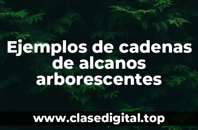 Ejemplos de cadenas de alcanos arborescentes