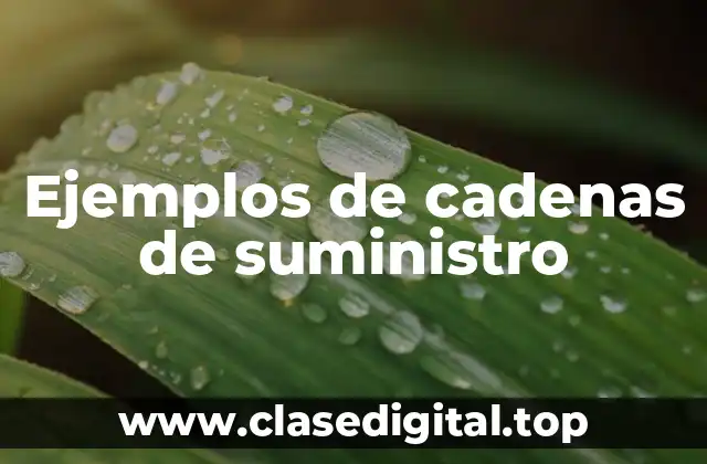 Ejemplos de cadenas de suministro