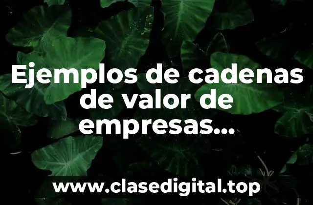 Ejemplos de cadenas de valor de empresas industriales