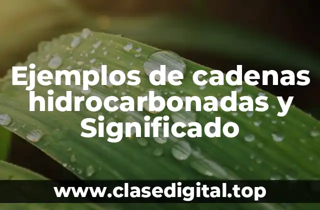 Ejemplos de cadenas hidrocarbonadas y Significado
