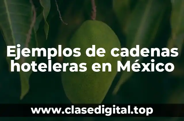 Ejemplos de cadenas hoteleras en México