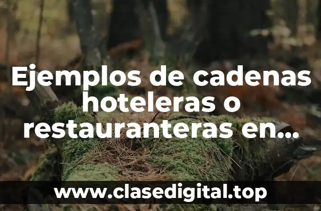 Ejemplos de cadenas hoteleras o restauranteras en México