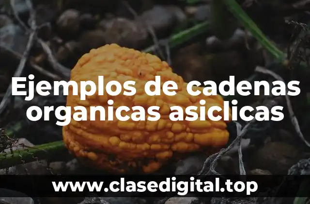 Ejemplos de cadenas organicas asiclicas