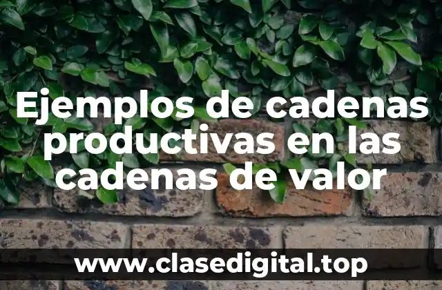 Ejemplos de cadenas productivas en las cadenas de valor