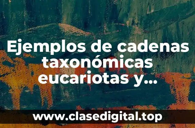 Ejemplos de cadenas taxonómicas eucariotas y Significado