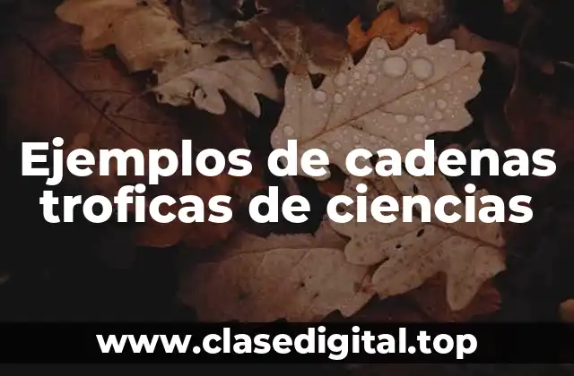 Ejemplos de cadenas troficas de ciencias