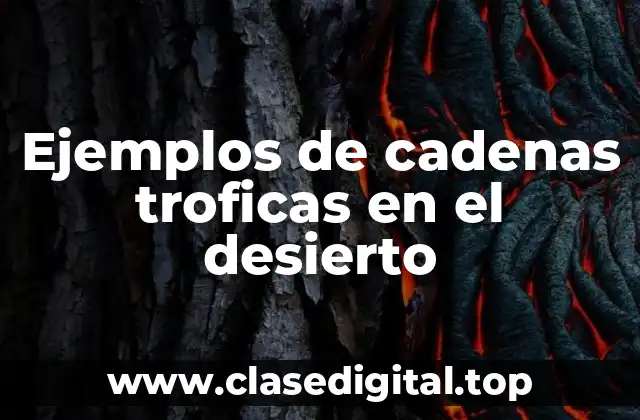 Ejemplos de cadenas troficas en el desierto