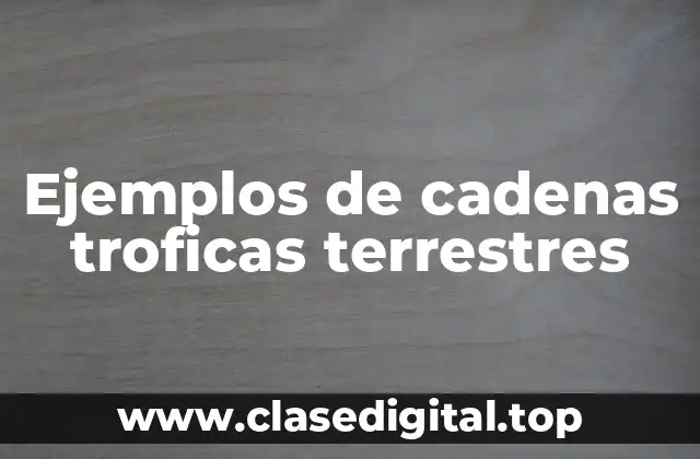 Ejemplos de cadenas trofica terrestres
