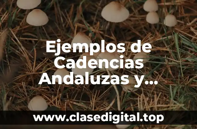 Ejemplos de Cadencias Andaluzas y Significado