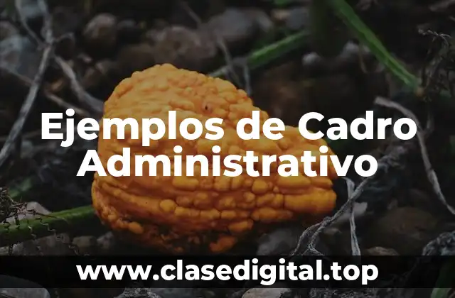 Ejemplos de Cadro Administrativo