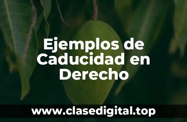 Ejemplos de Caducidad en Derecho