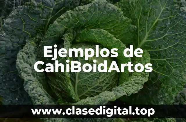 Ejemplos de CahiBoidArtos