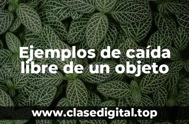 Ejemplos de caída libre de un objeto