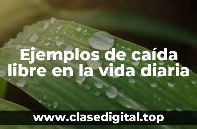 Ejemplos de caída libre en la vida diaria