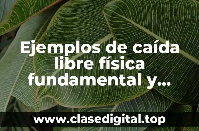 Ejemplos de caída libre física fundamental
